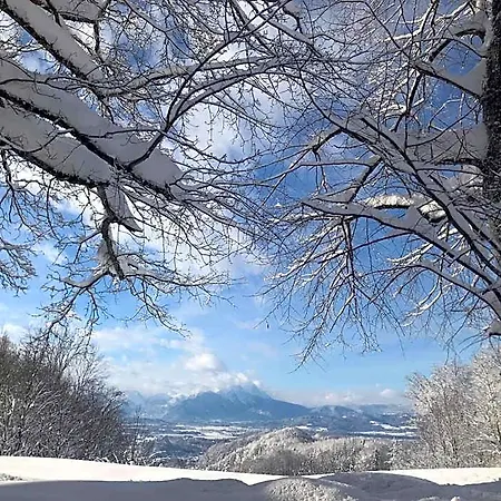 Romantik Gersberg Alm Mit Panoramablick Auf Und Outdoor Pool Ab Mai Salzburg